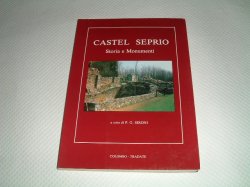 画像1: Castel Seprio　storia e monumenti  （中古）